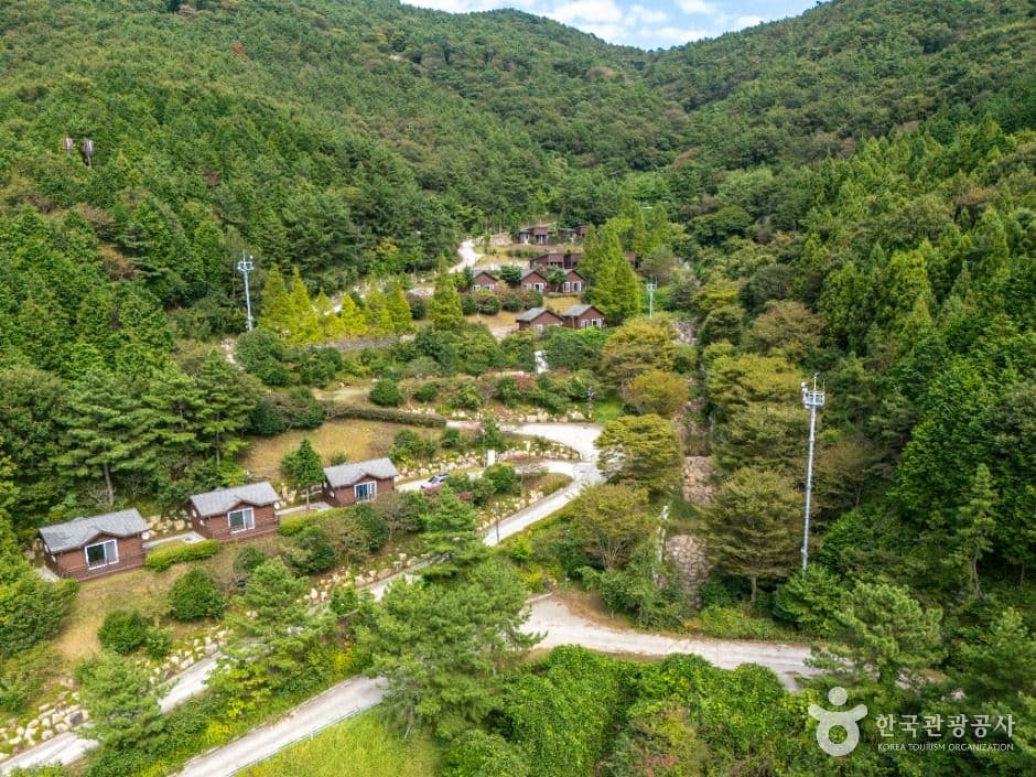 봉황산자연휴양림 사진 2