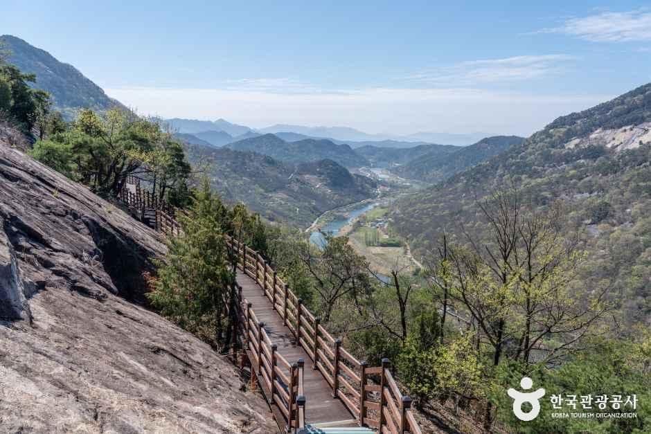 용궐산하늘길 사진 5