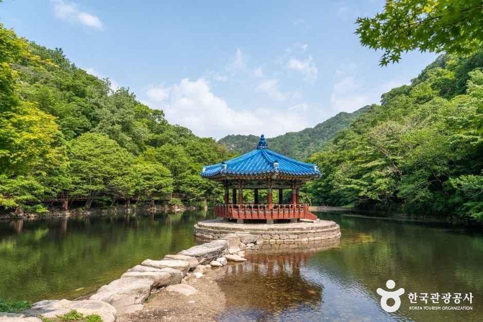 우화정(내장산) 사진 6