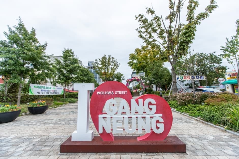 강릉 월화거리