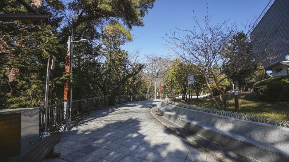 제황산공원