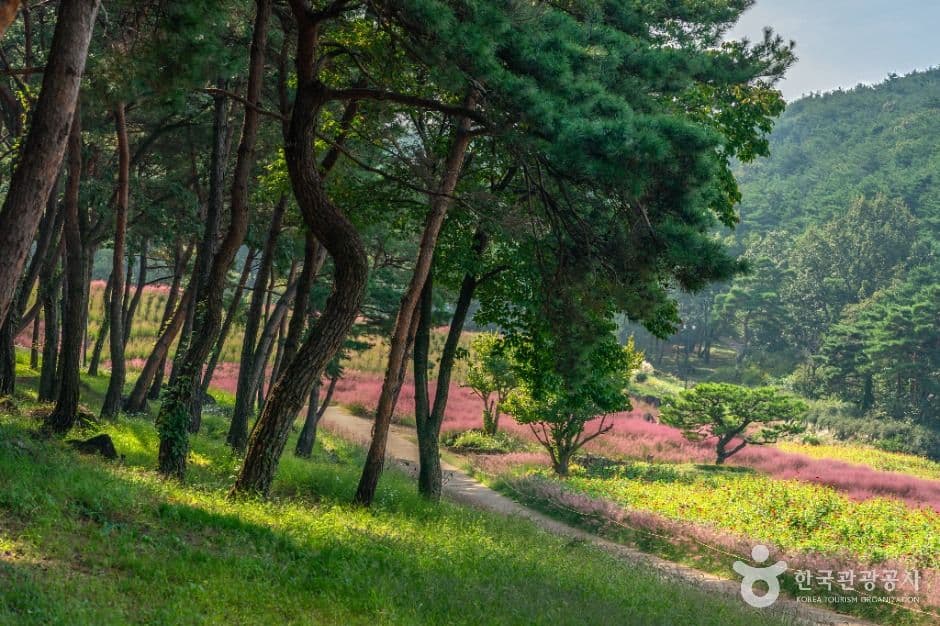 가산수피아 사진 3