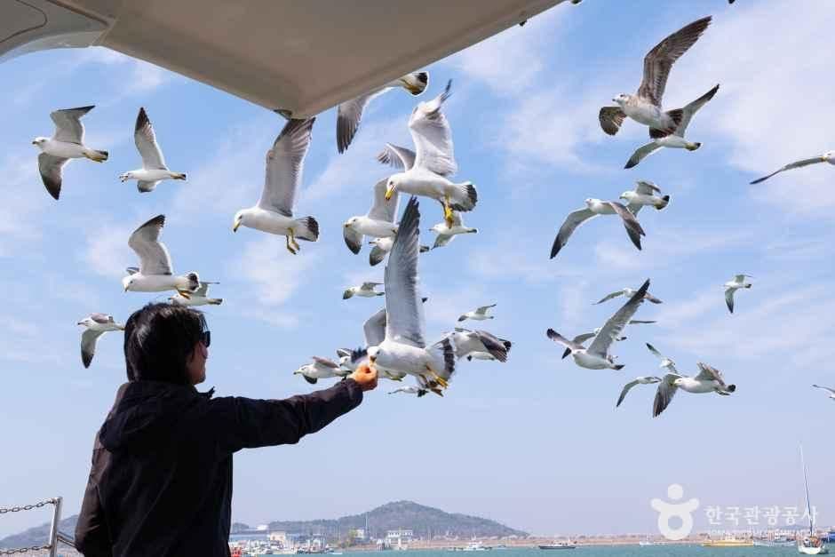전곡항 사진 3