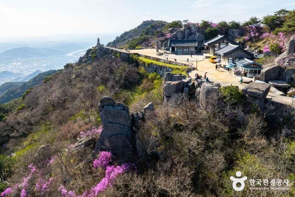 대견사 사진 1