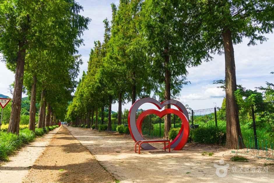 덕산 메타세쿼이아길 사진 5