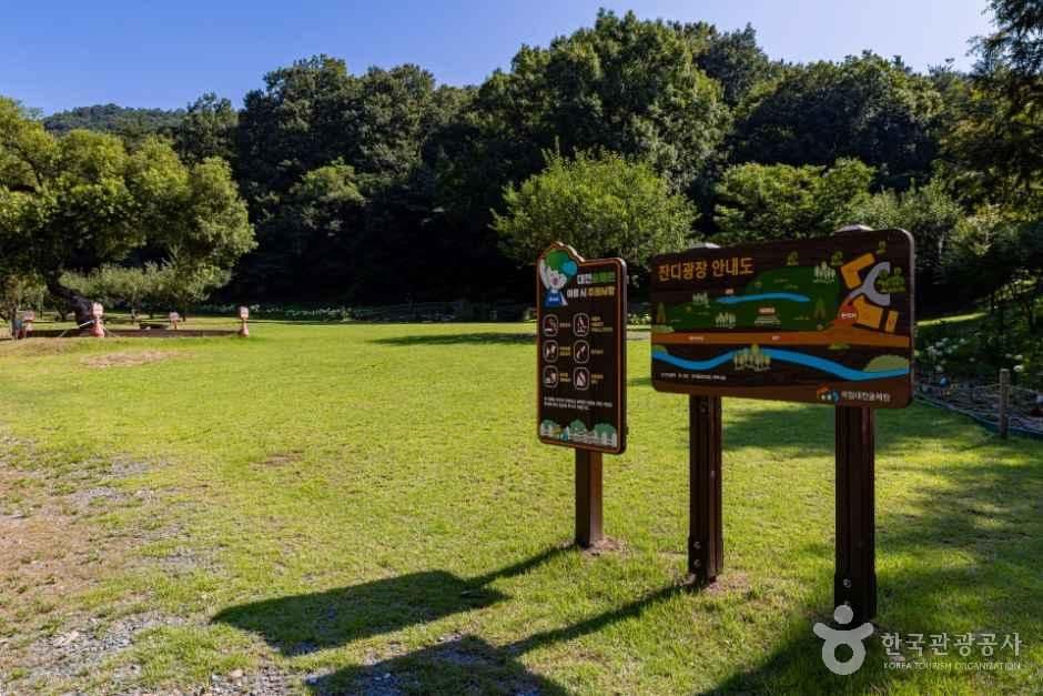 국립대전숲체원 사진 5