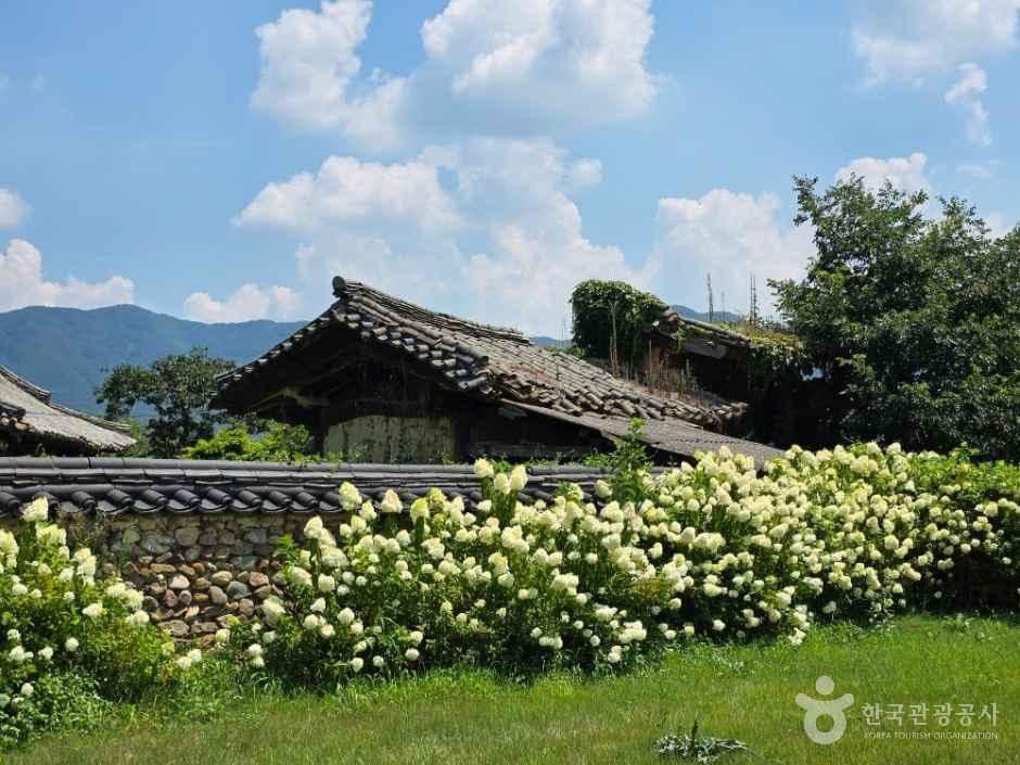 전남 담양 창평면 [슬로시티]
