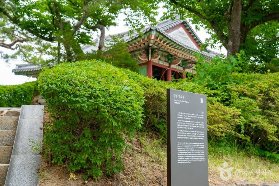 강릉 경포대 사진 5