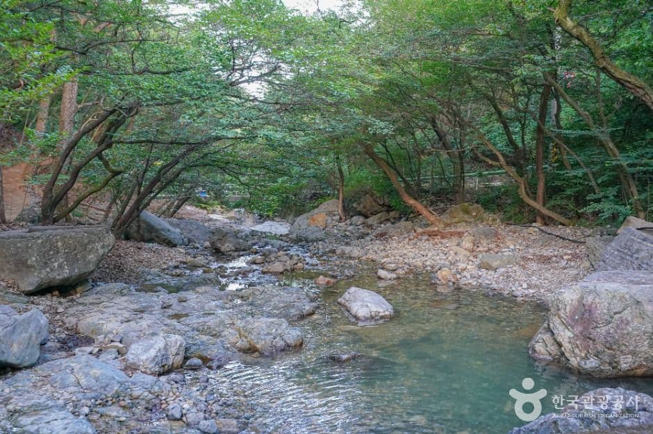 장유대청계곡 사진 4