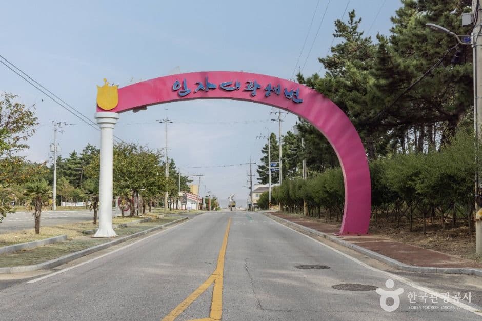 임자도 사진 5