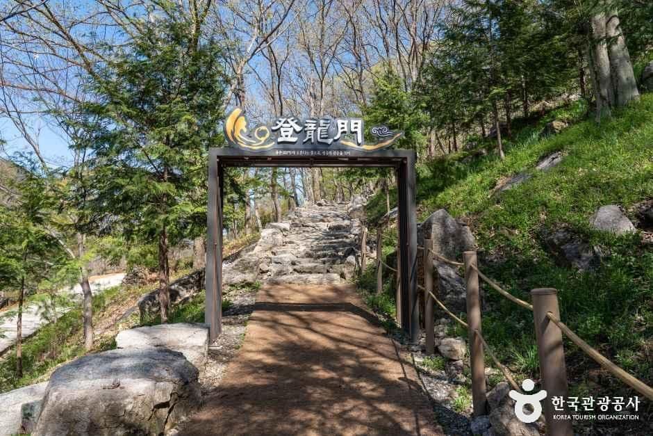 용궐산하늘길 사진 6