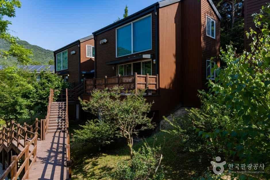 국립대전숲체원 사진 6