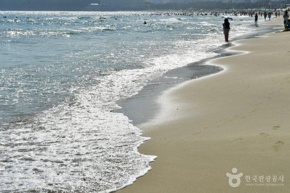 해운대해수욕장 사진 4