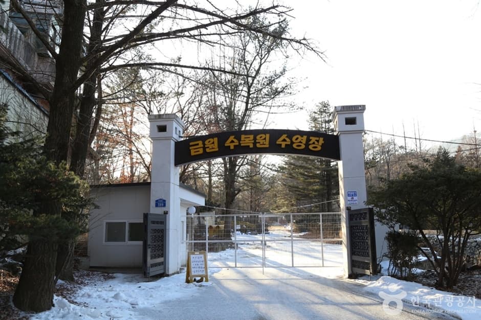 금원수목원수영장