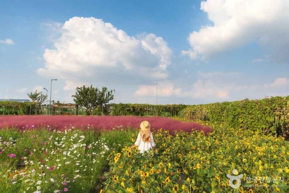 바람새마을 사진 2