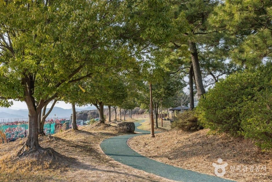 와온해변 사진 1