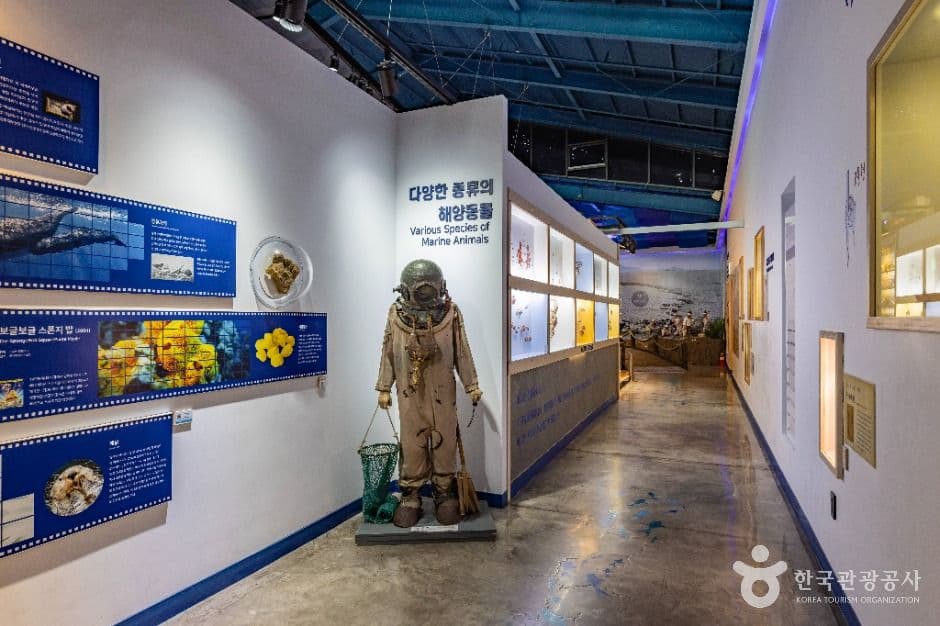 제주해양동물박물관 사진 1