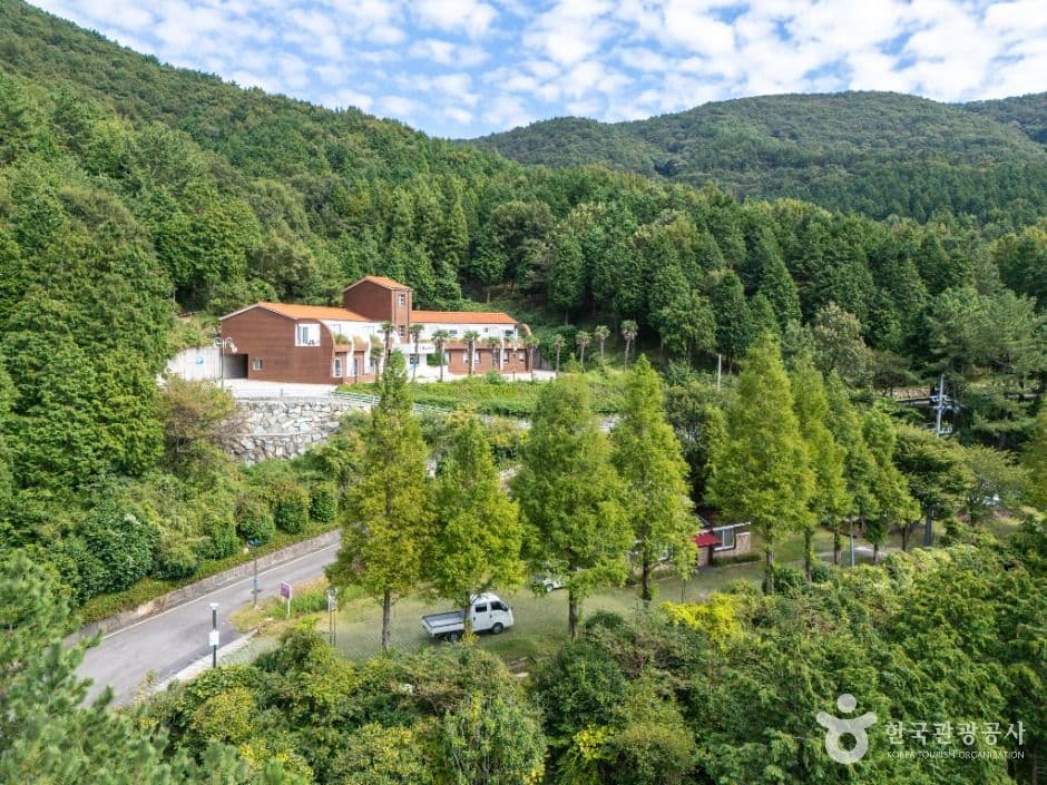 봉황산자연휴양림 사진 5