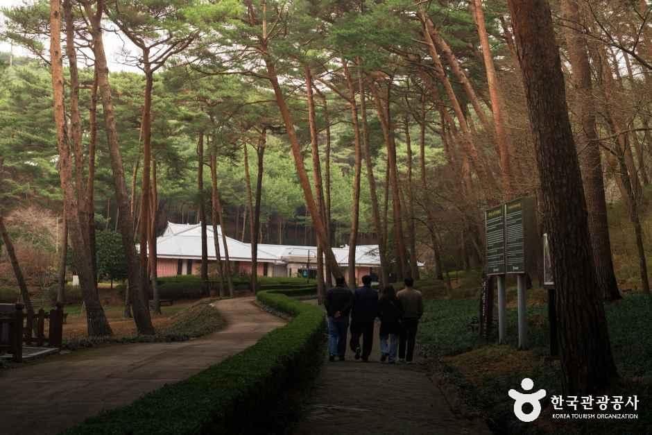 안면도자연휴양림 사진 7