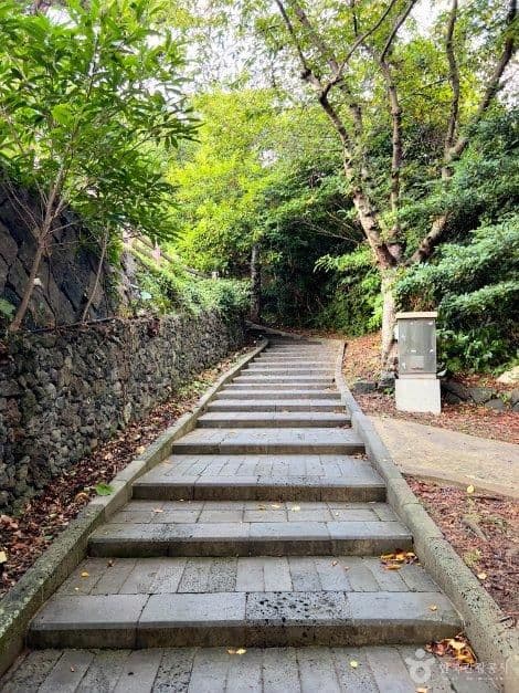 사라봉 사진 1
