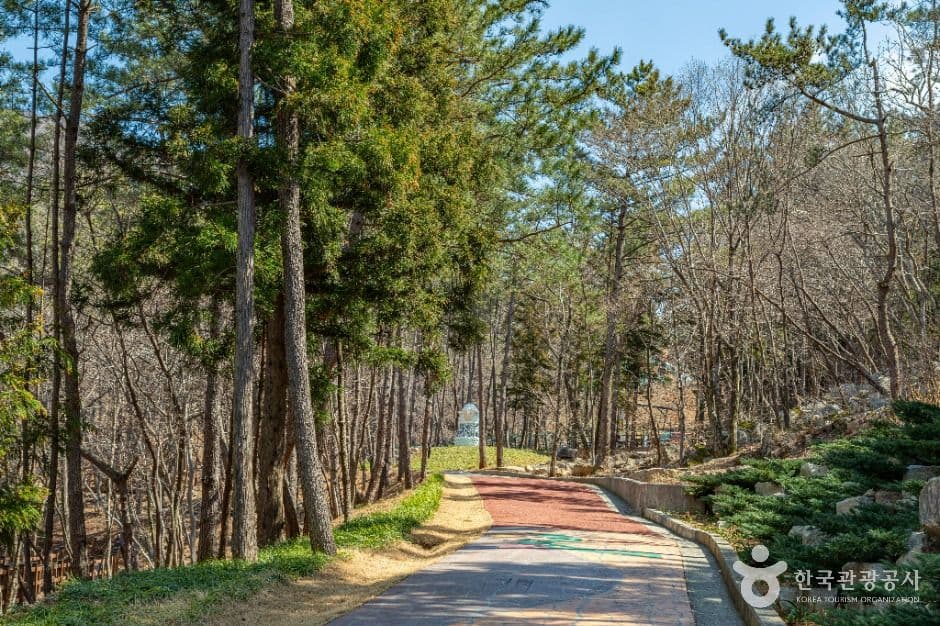 숲소리공원 사진 2