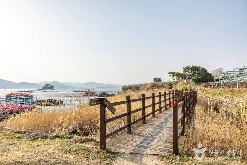 와온해변 사진 2