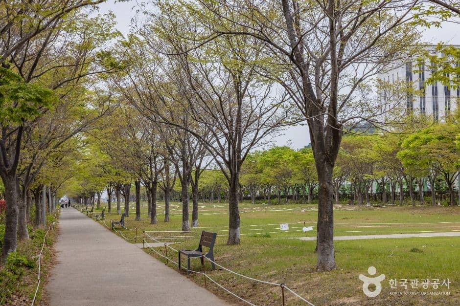 아미르공원 사진 2