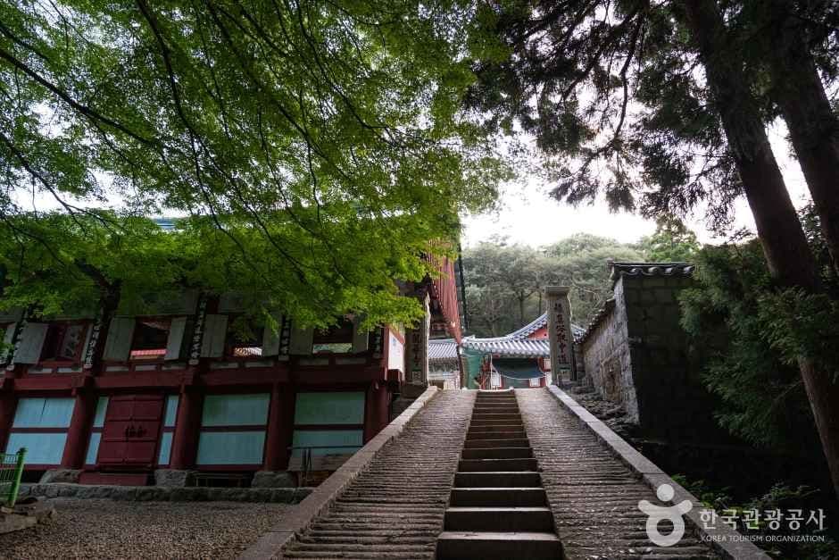 용화사(통영) 사진 1