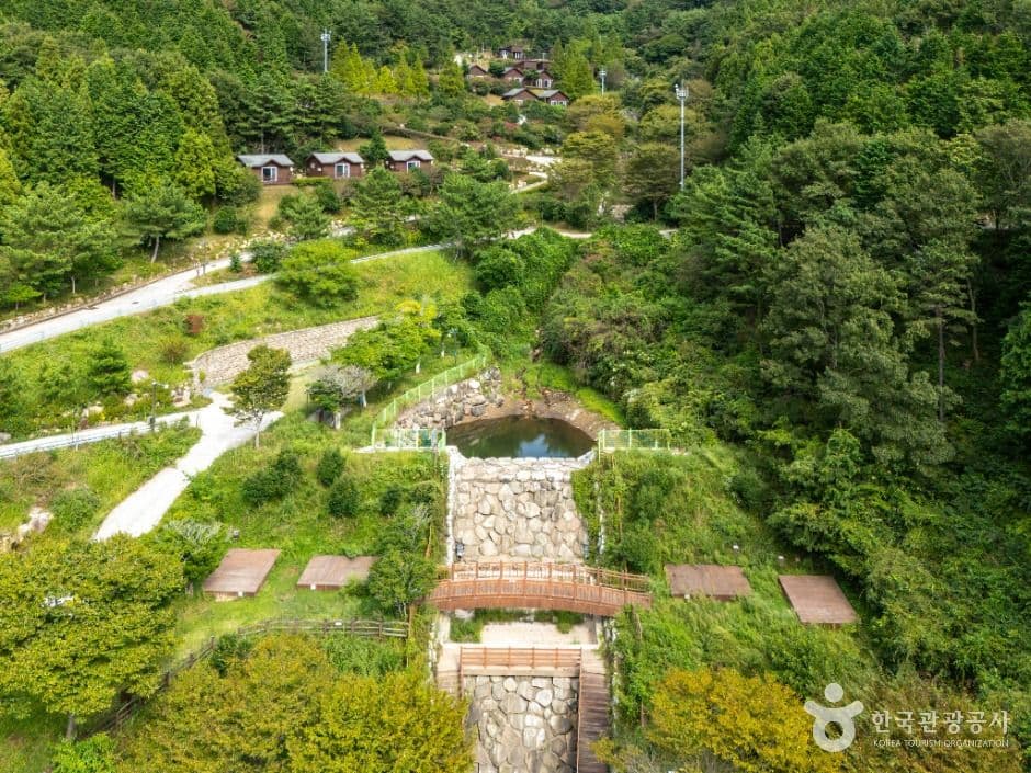 봉황산자연휴양림 사진 6