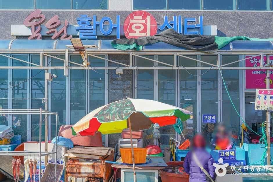 용원활어회센터