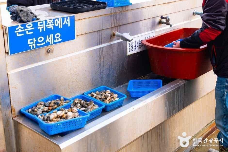병술만어촌체험마을 사진 3