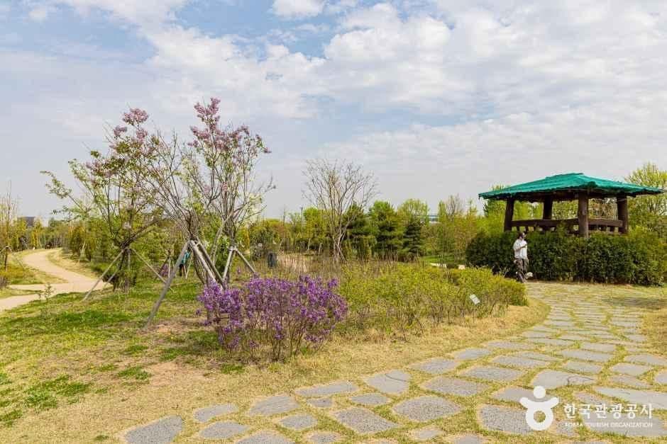 계양꽃마루 사진 7