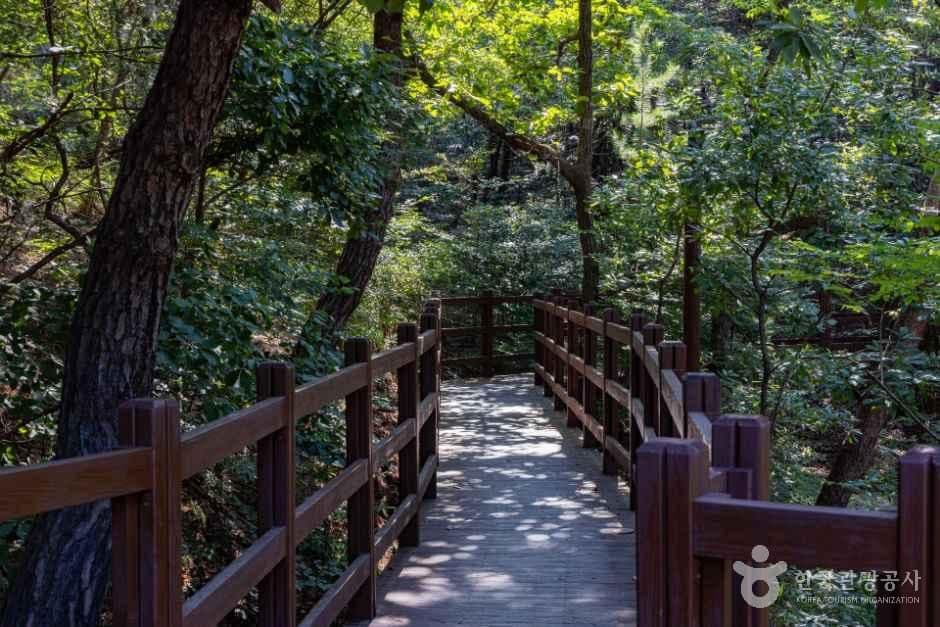국립대전숲체원 사진 7