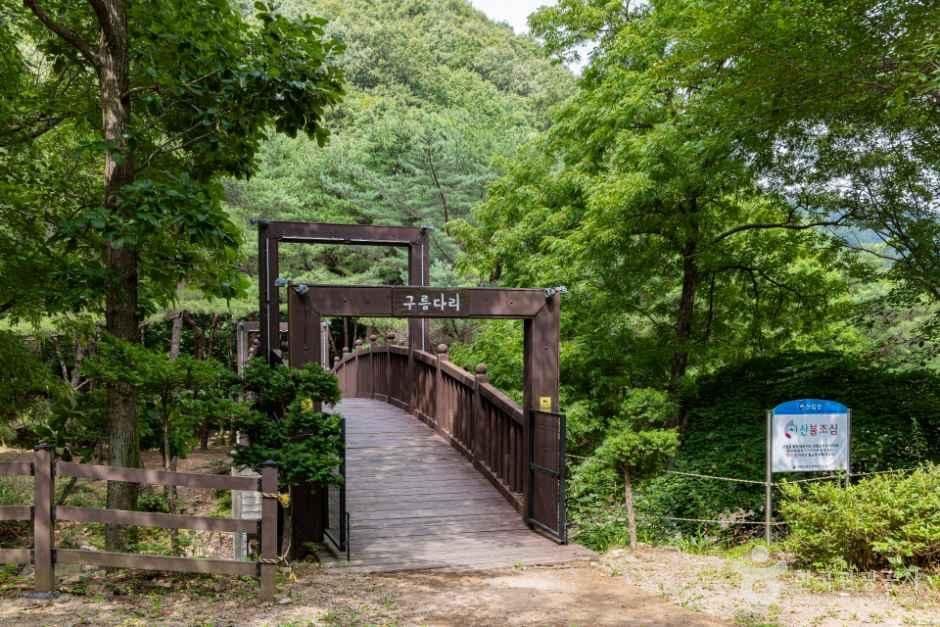 국립용현자연휴양림 사진 4
