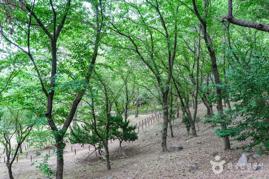 학성공원 사진 3