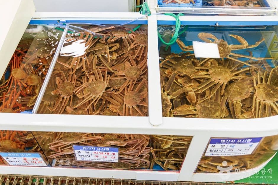 동광어시장 사진 4