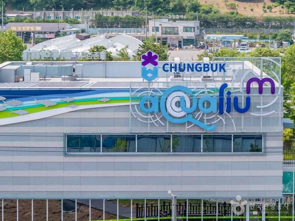 충북아쿠아리움 사진 8