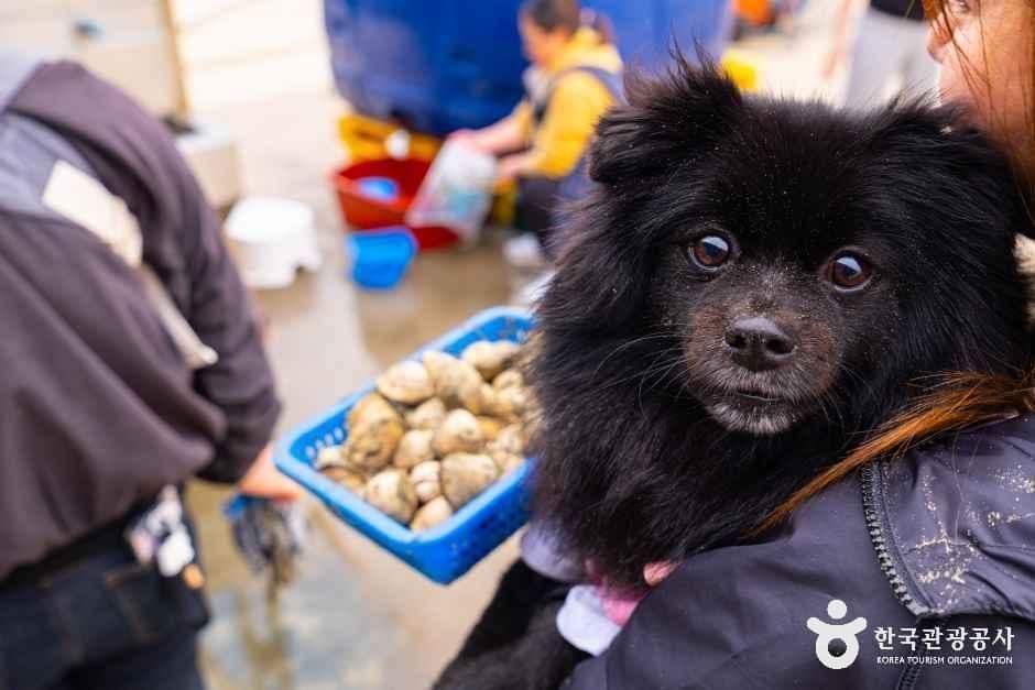 병술만어촌체험마을 사진 4