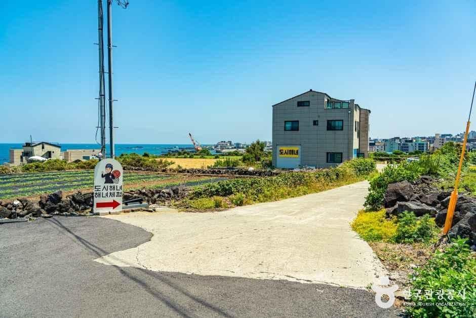 도시해녀 사진 2