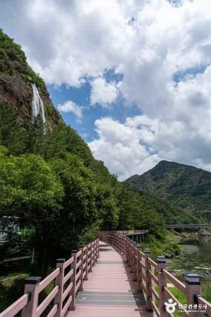 월영산 출렁다리 사진 3