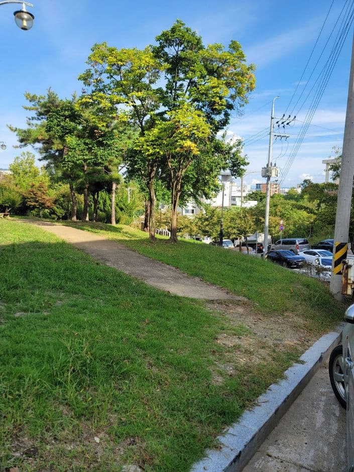 해맞이공원(대구) 사진 2