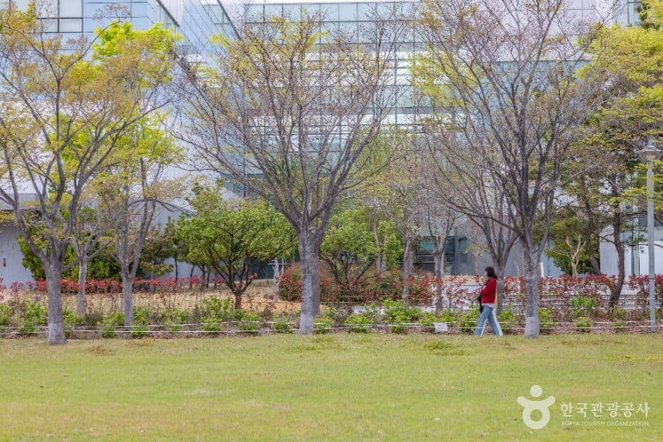 아미르공원 사진 4