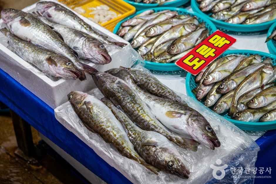 주문진좌판풍물시장 사진 2