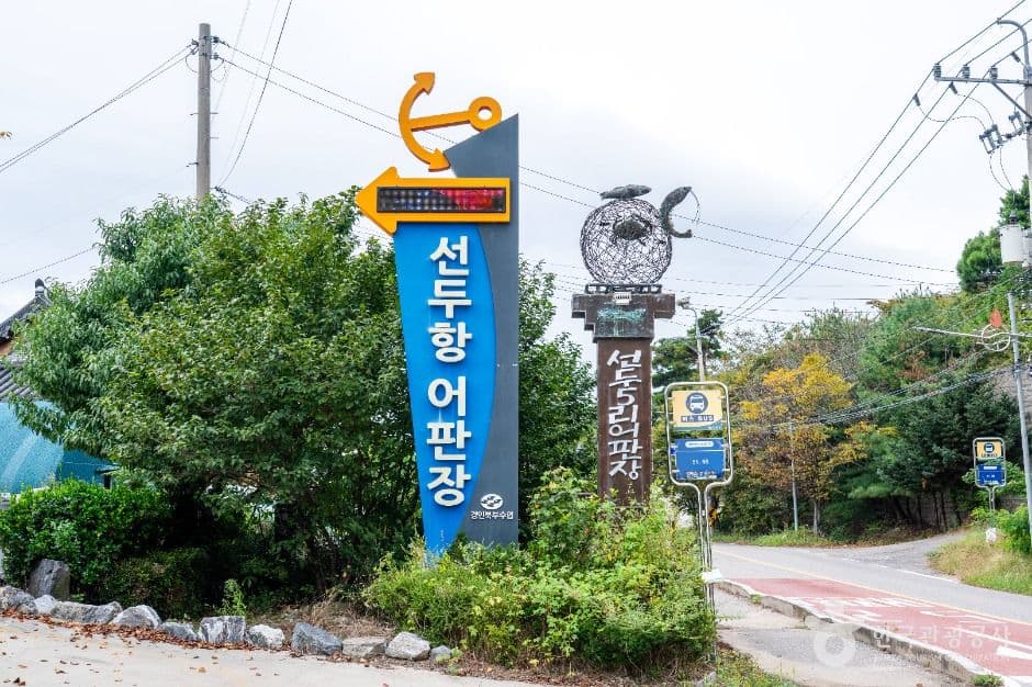 선두5리어시장 사진 1