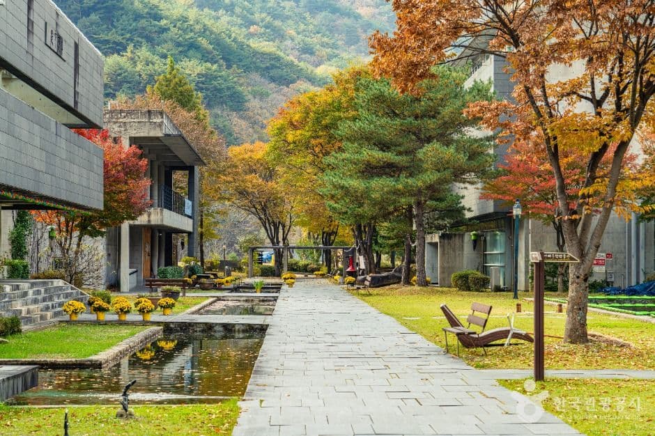 만해마을 사진 3
