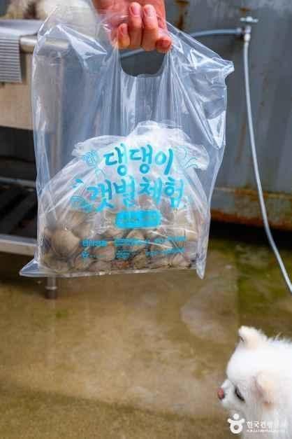 병술만어촌체험마을 사진 5