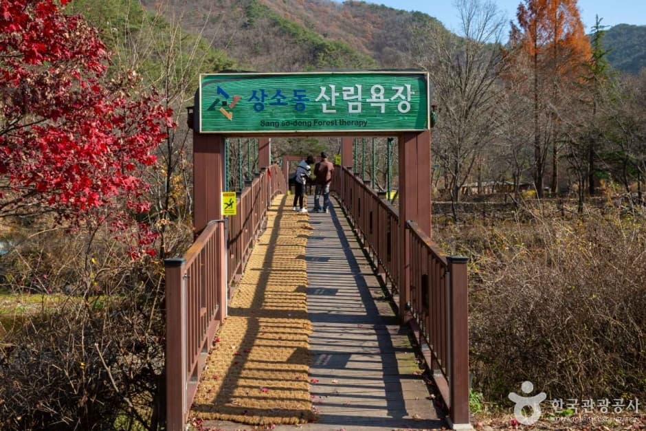 상소동 산림욕장