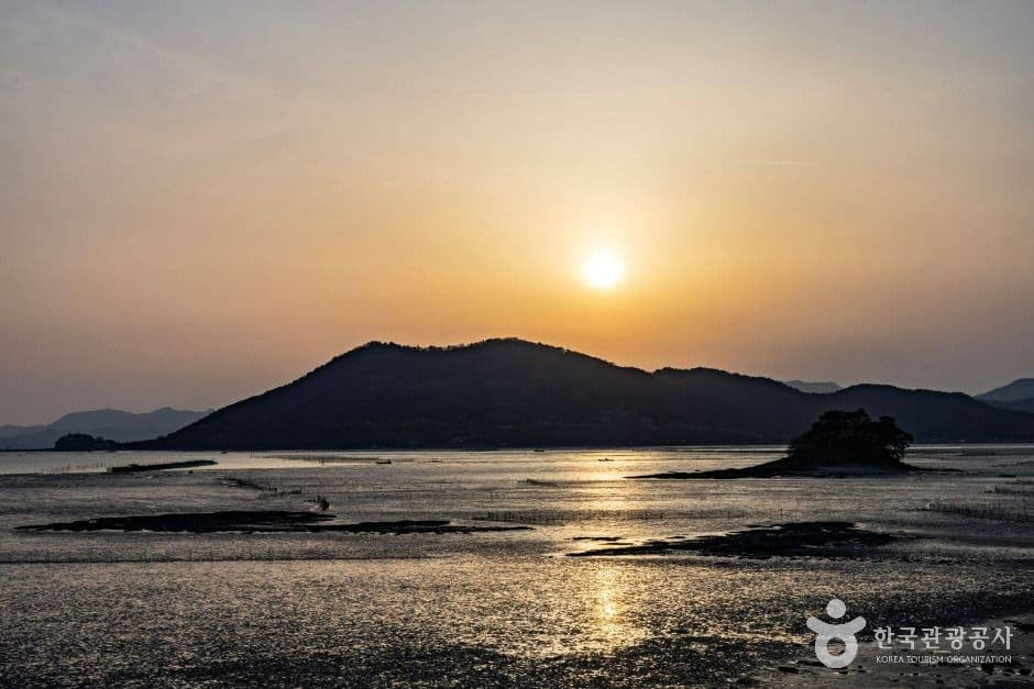 와온해변 사진 4
