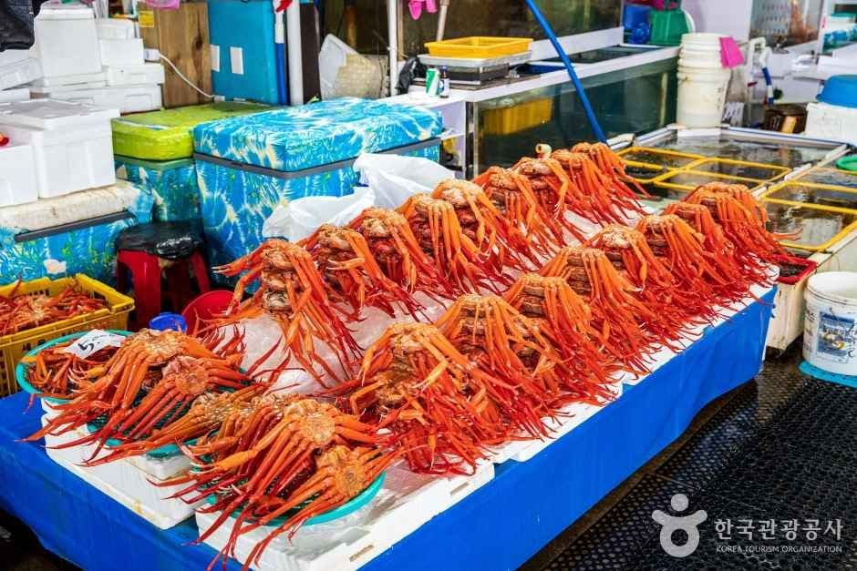 주문진좌판풍물시장 사진 3