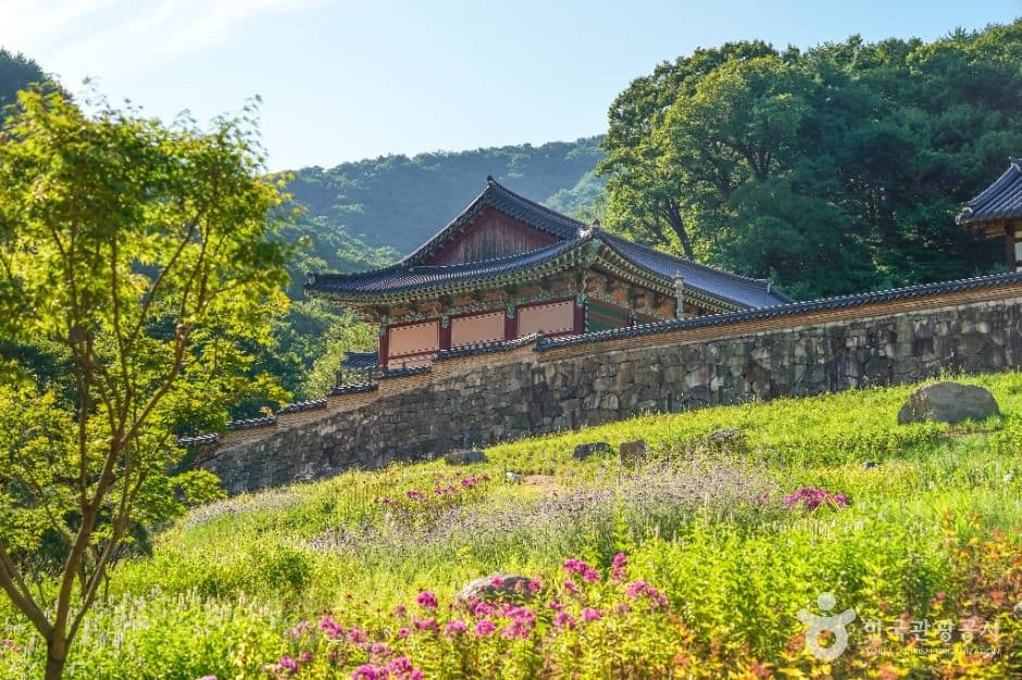 용문사(예천) 사진 1